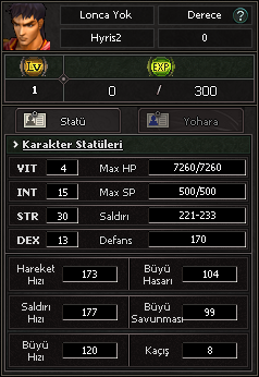 Oyun içi karakter statü ve derece penceresi